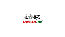 Asogan SD