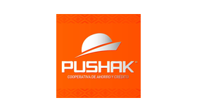 Pushak